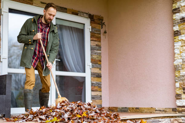 Best Electronics Removal Services  in Sacaton, AZ